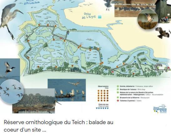 Chalet Prestige Au Coeur Du Bassin D'Arcachon La Teste-de-Buch Kültér fotó